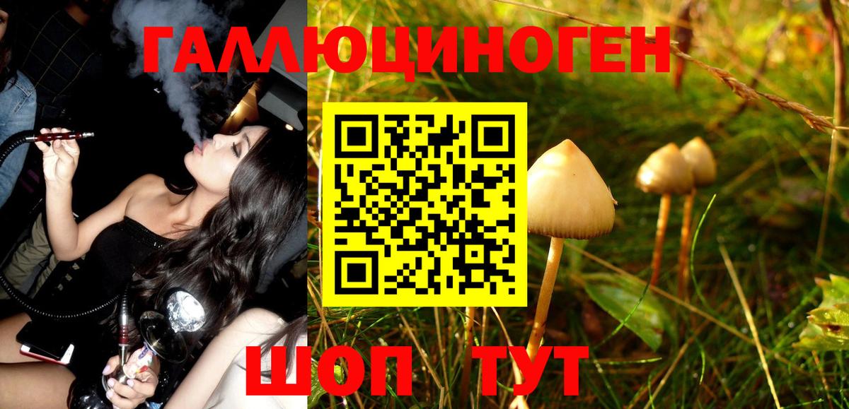 Воскресенск  Галлюциногенные грибы Magic Shrooms  Вход с VPN 